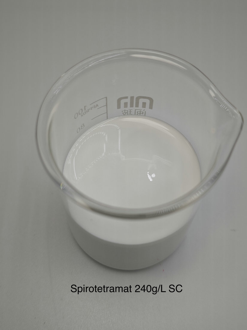 Spirotetramat 240g/L SC